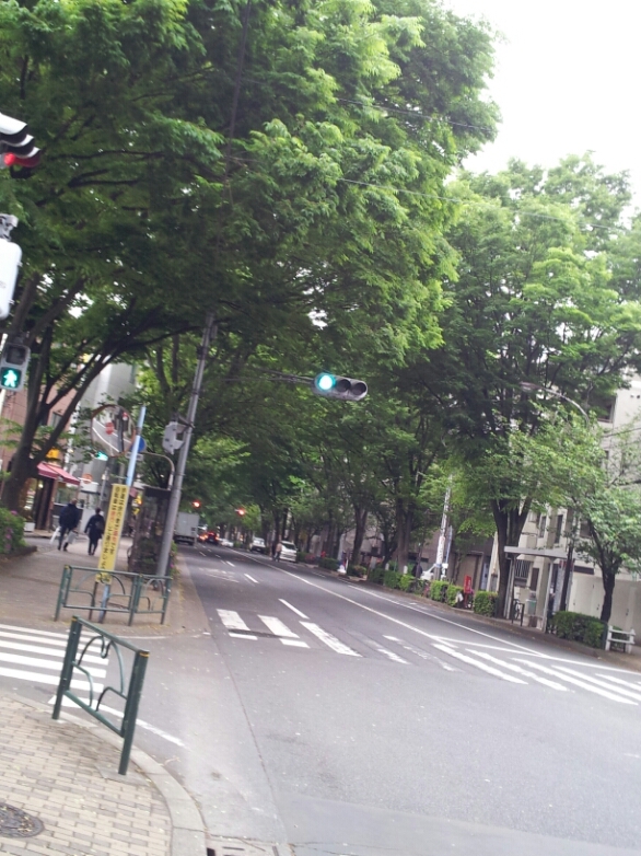 b0211924_1310158.jpg