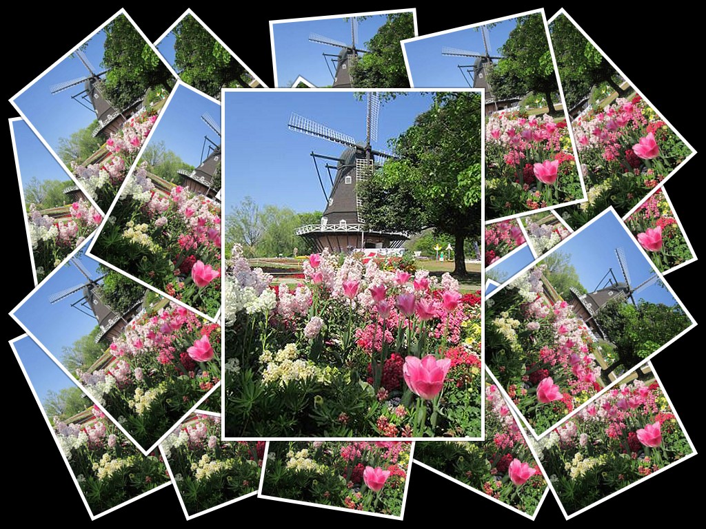 d0065324_12484413.jpg