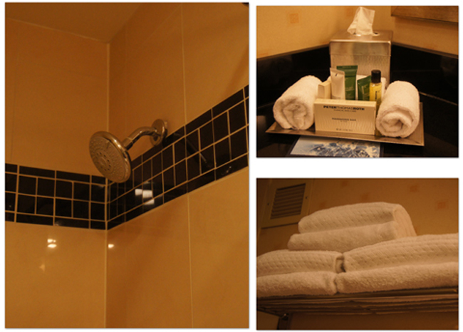 東カリブ海クルーズ(6) HILTON CHICAGO O\'HARE AIRPORT_d0210324_8285294.jpg