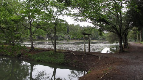 e0202031_2204639.jpg