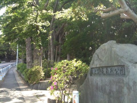 上野毛自然公園(世田谷区)(5月8日)_e0213636_14455983.jpg