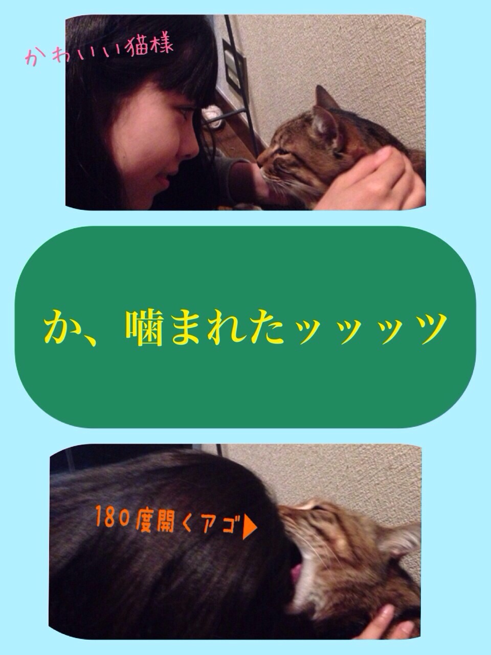八木優羽亜です。_b0314139_13214671.jpg