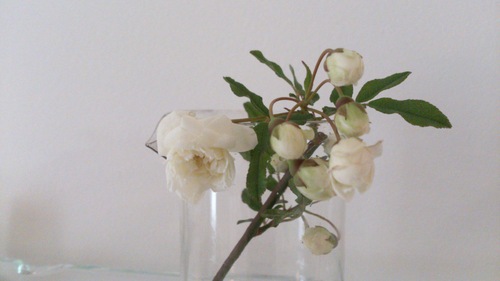 glass_e0288544_1113175.jpg