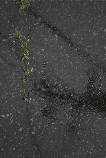 e0126350_102633.jpg