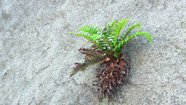 c0254151_17532979.jpg