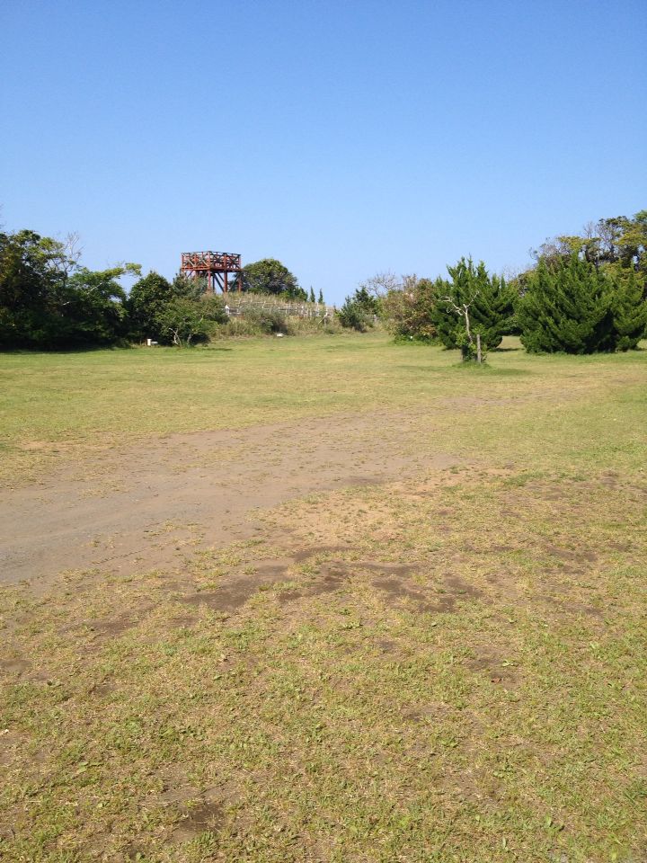 b0008655_79587.jpg