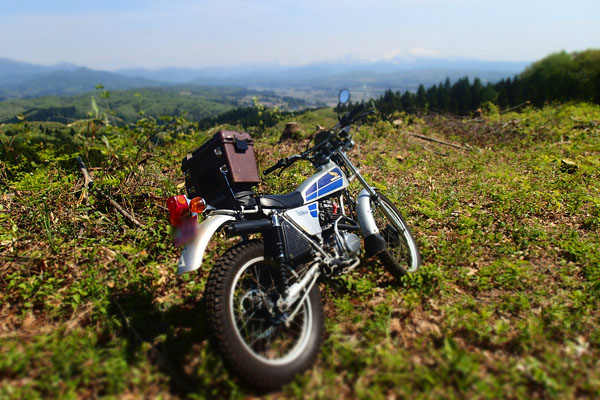 a0083760_78380.jpg