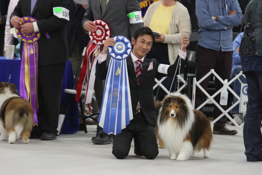 ASSA 2014 BEST OF WINNER!_f0126965_859436.jpg