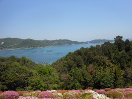 花の稚児公園は五月晴れ_e0175370_8495485.jpg