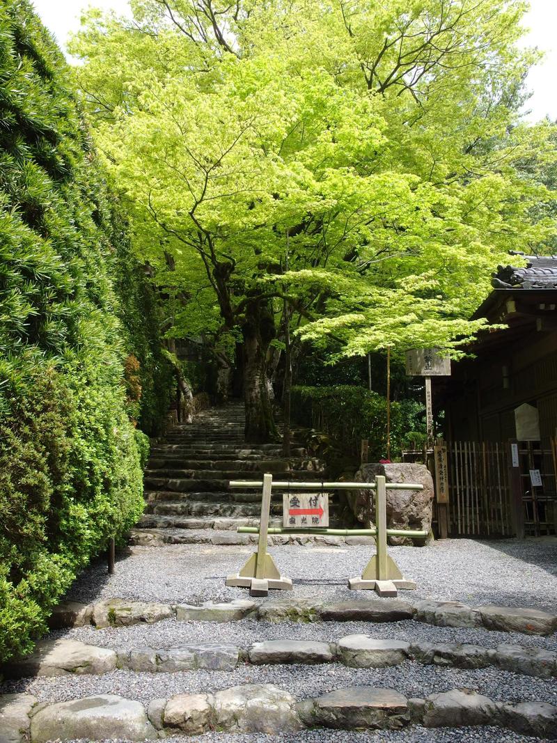 c0177576_2253328.jpg