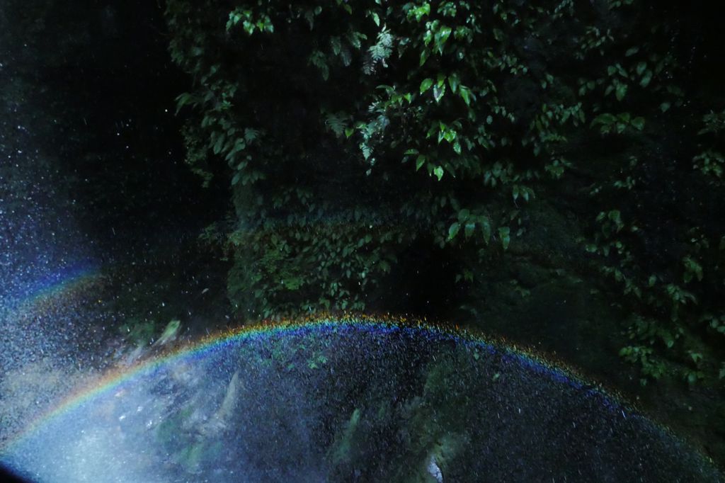 e0152576_20541.jpg