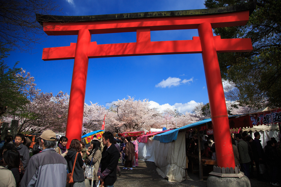 桜2014！　～総集編～_b0128581_22241720.jpg