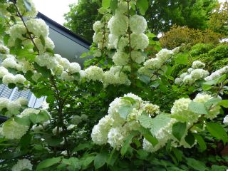 2014年5月8日 パワースポットだ~_b0098584_20321931.jpg