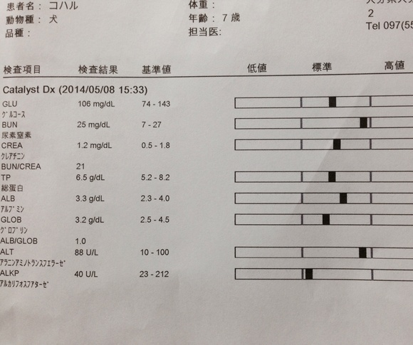 ワクチン注射 フィラリア検査 血液検査_b0188998_22131043.jpg