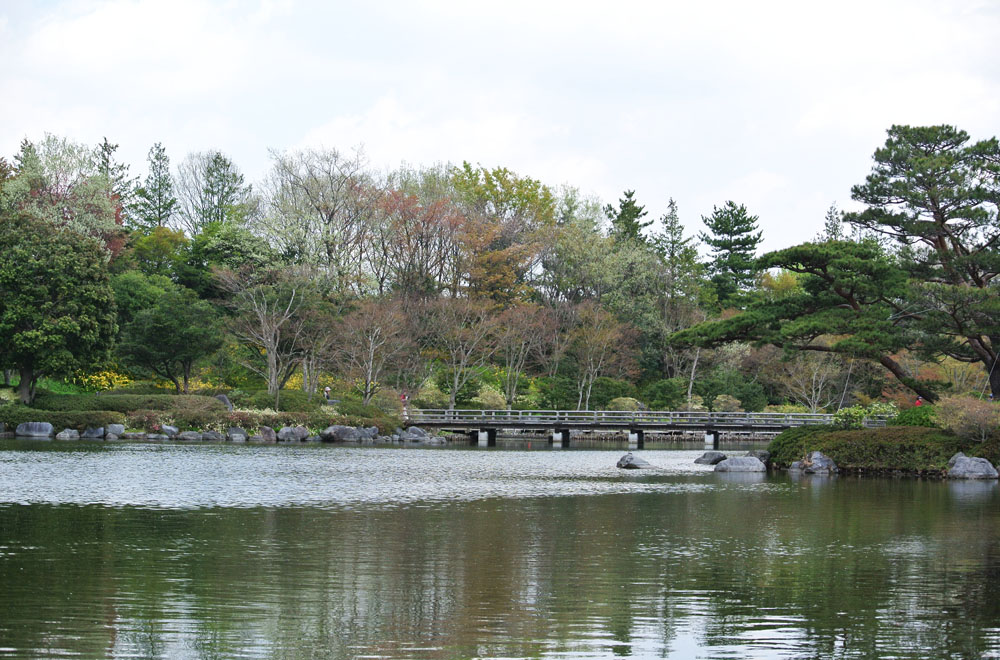 昭和記念公園 春_b0144301_10553179.jpg