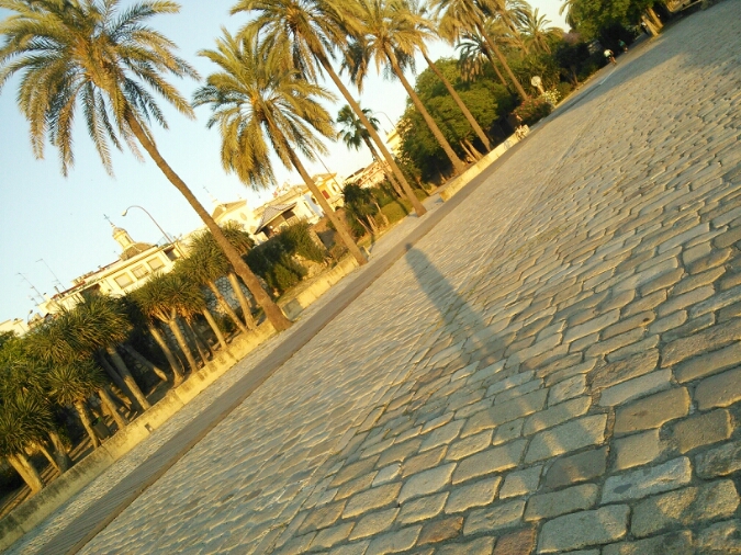 c0212604_5595719.jpg
