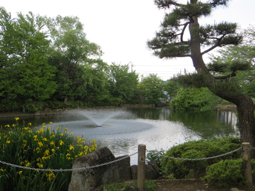 春のスケッチ会は瑞穂町の狭山池公園。_b0129807_2043028.jpg