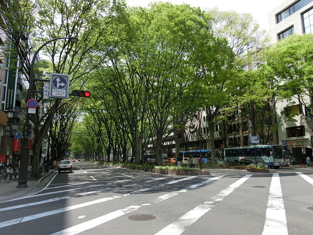 新緑がまぶしい「杜の都・仙台」は都市計画のお手本_f0141310_811711.jpg