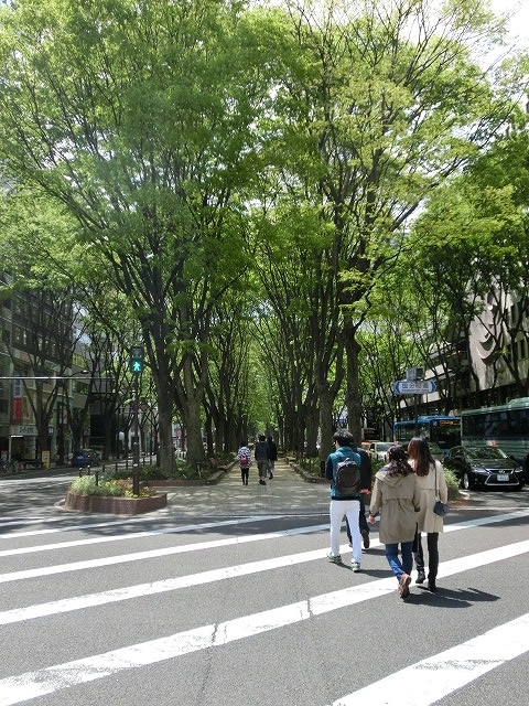 新緑がまぶしい「杜の都・仙台」は都市計画のお手本_f0141310_812688.jpg