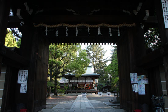 御霊神社 イチハツ満開_e0048413_19575721.jpg