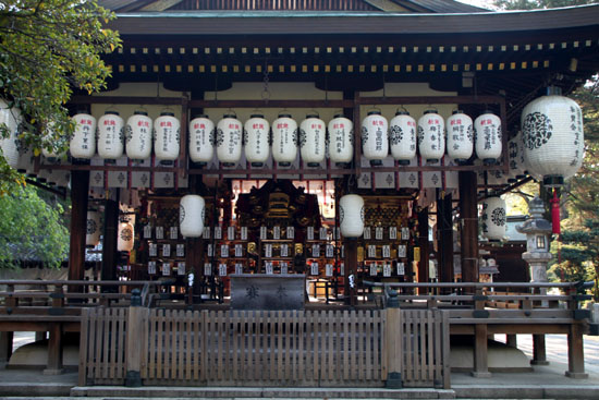 御霊神社 イチハツ満開_e0048413_19581061.jpg