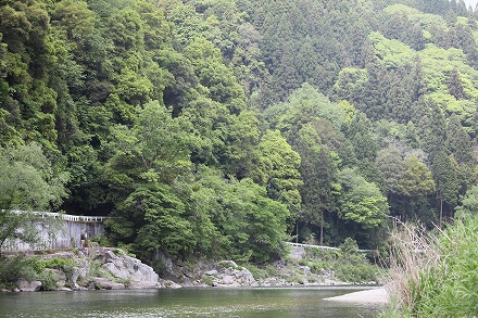 f0191413_17145376.jpg