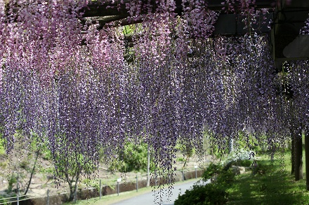 f0191413_17502893.jpg