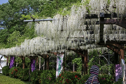 f0191413_17523967.jpg