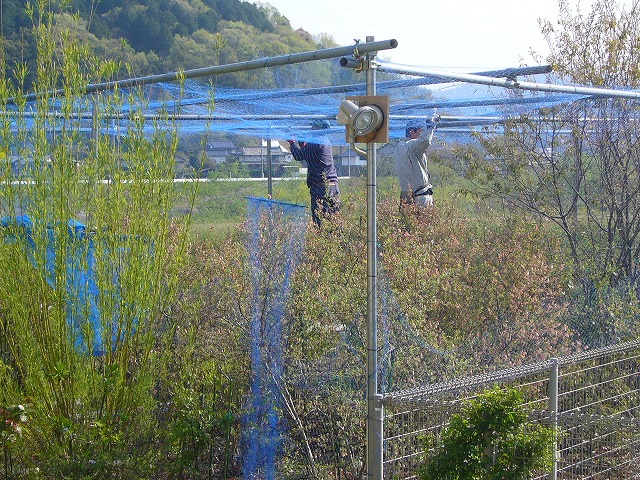 木造車庫から解体・地鎮祭いろいろ_f0207213_16521071.jpg