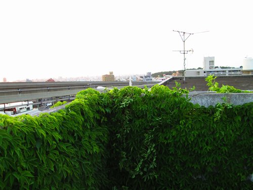 f0178416_9124999.jpg