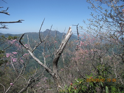 f0193521_19143914.jpg