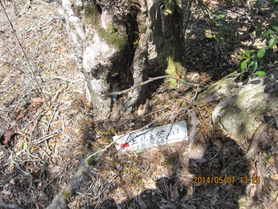 f0193521_1925491.jpg
