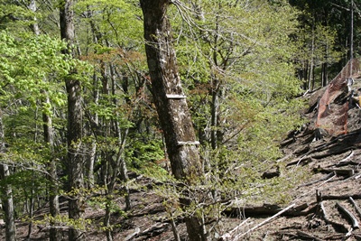 f0193521_19303557.jpg