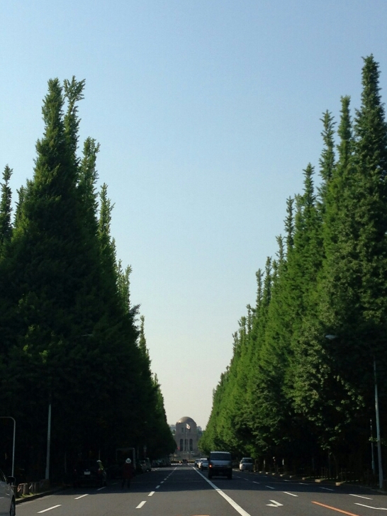 b0211924_2054266.jpg
