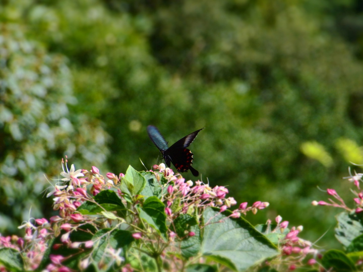 b0244424_13493676.jpg