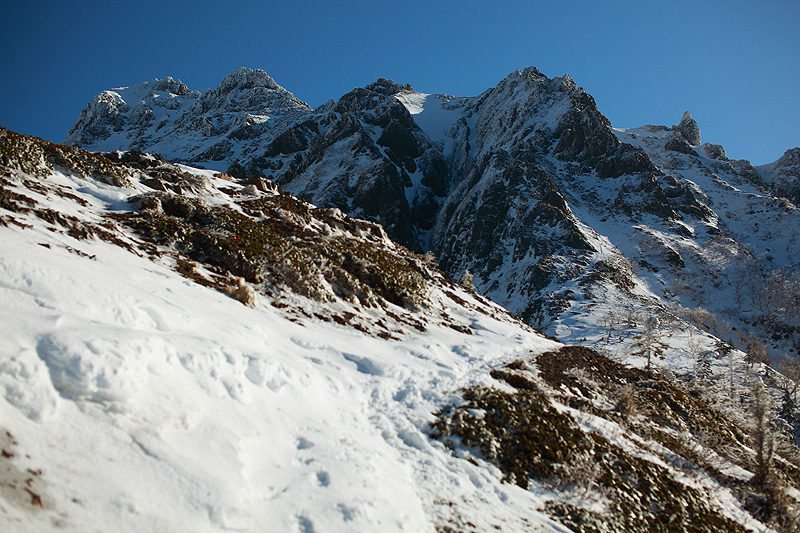 c0313231_1551320.jpg