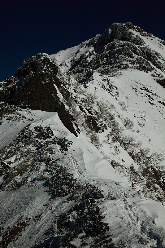 c0313231_1556897.jpg