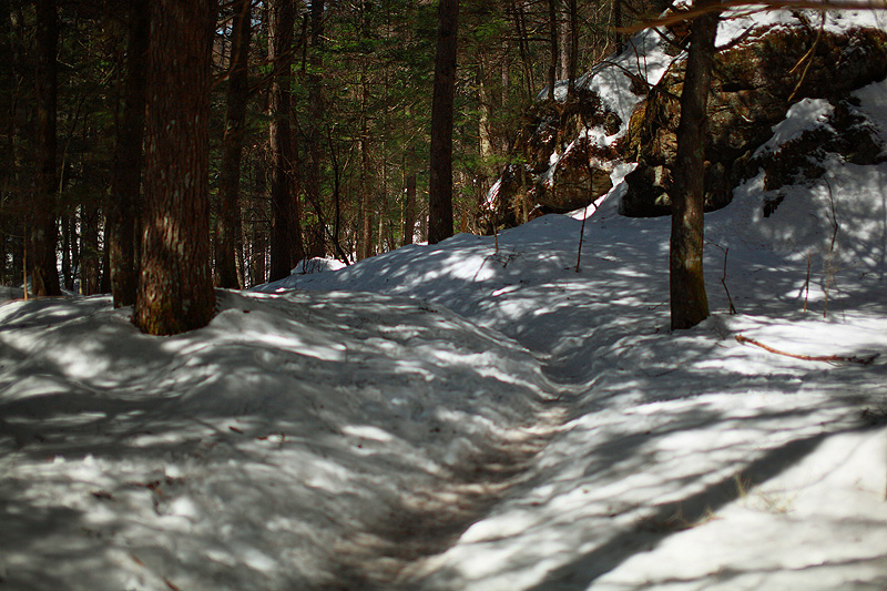 c0313231_1633644.jpg