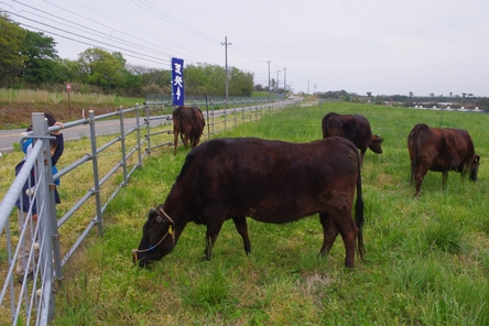 c0113733_047568.jpg