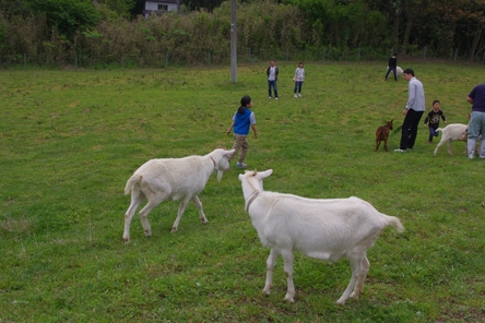 c0113733_048417.jpg