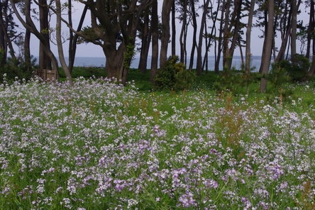 c0113733_052745.jpg