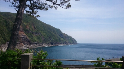 八丈島_b0087338_10525217.jpg