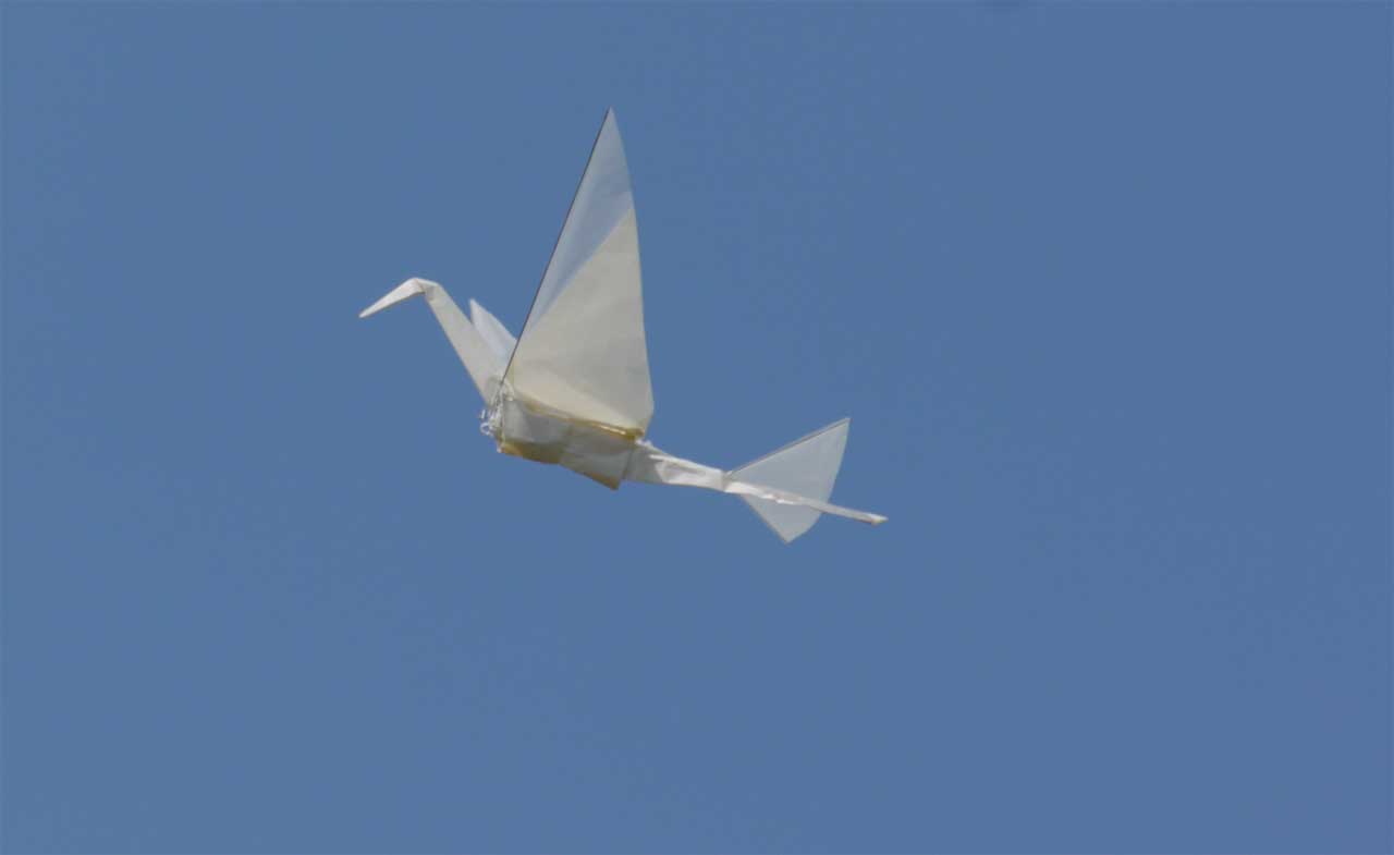 ミライの飛ぶ折鶴 _d0067943_753959.jpg