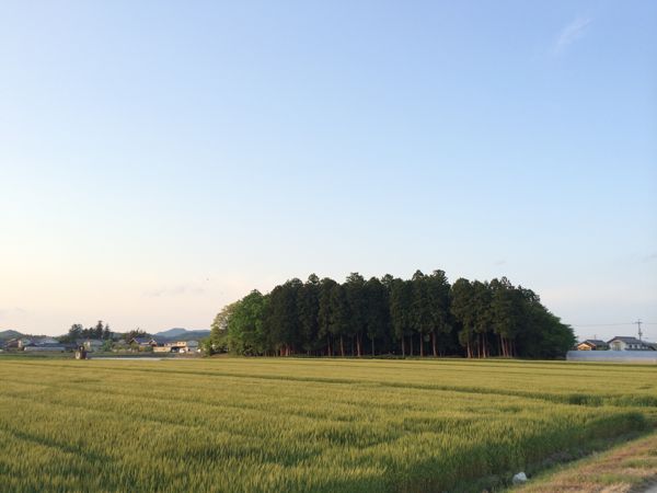e0002951_23103347.jpg