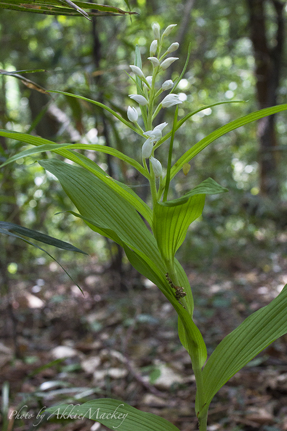 b0167256_1305987.jpg