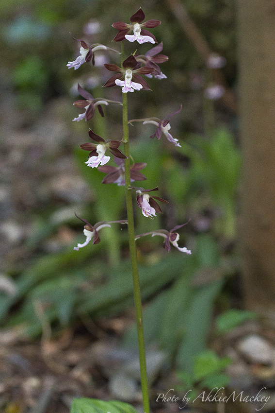 b0167256_131288.jpg