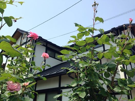 c0115560_13505678.jpg
