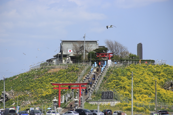 種差海岸　蕪島_f0330364_04525248.jpg