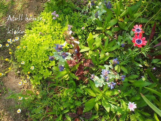 a0139570_22451364.jpg