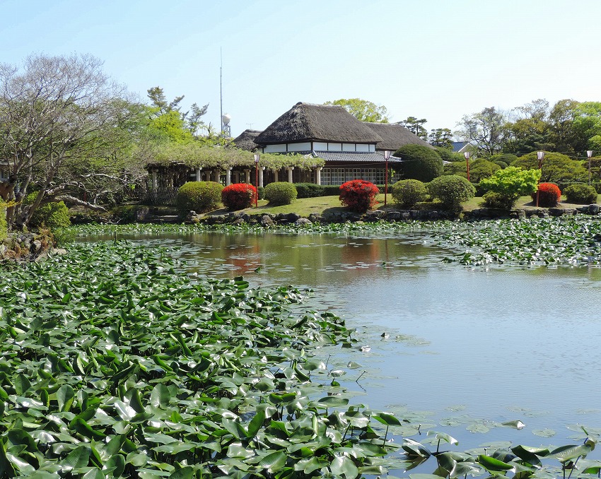 神野公園_c0187781_01300664.jpg